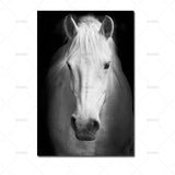 Wall Art Animal Canvas Painting