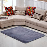 Fluffy Plush Modern Shag Rug