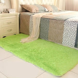 Fluffy Plush Modern Shag Rug